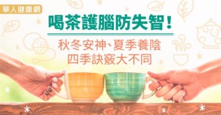 喝茶護腦防失智！秋冬安神、夏季養陰，四季訣竅大不同
