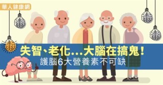失智、老化…大腦在搞鬼！護腦6大營養素不可缺