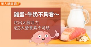 雞蛋、牛奶不夠看〜吃出大腦活力，這3大營養素不可缺