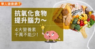 抗氧化食物提升腦力～4大營養素千萬不能少！